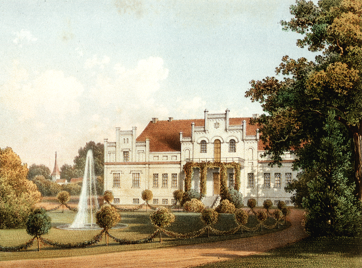 Zdjęcie do newsa Przewrócony pomnik przyrody