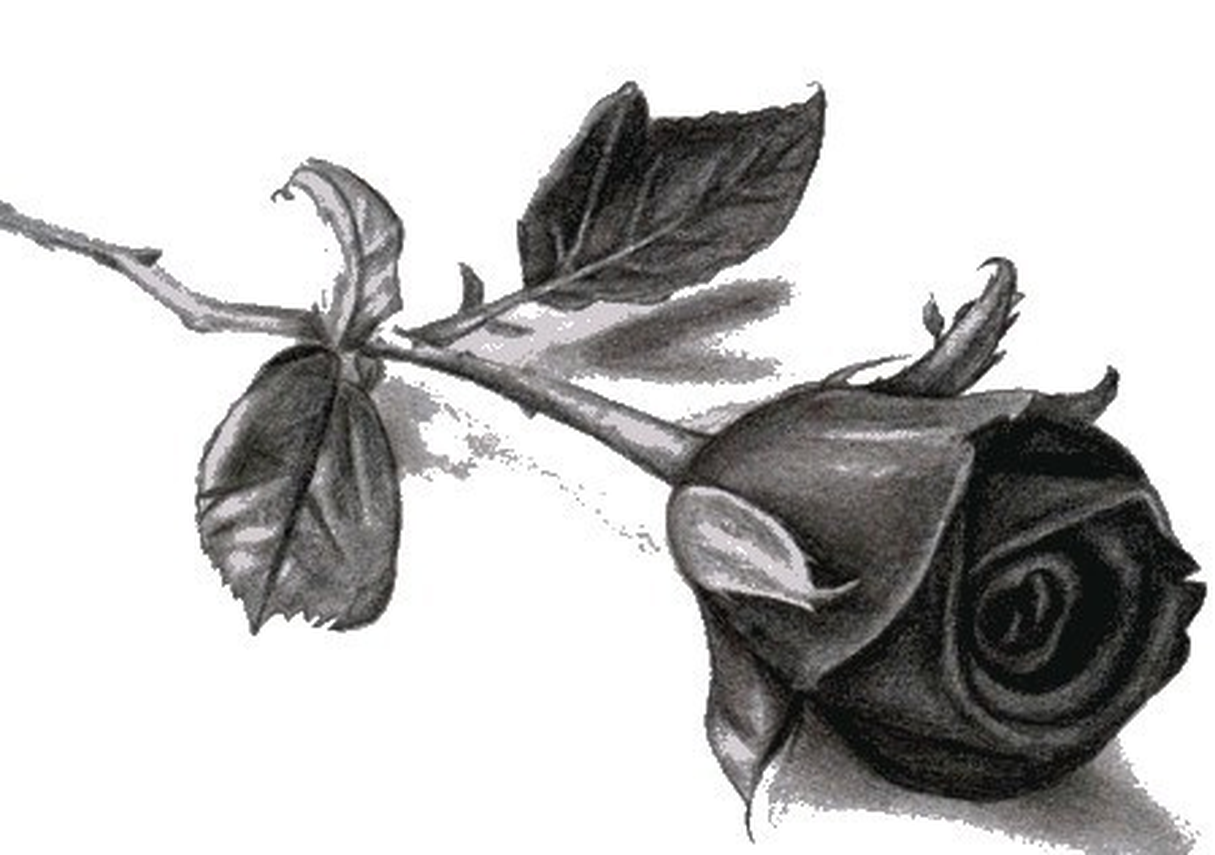 Zdjęcie do newsa Ostatnie pożegnanie